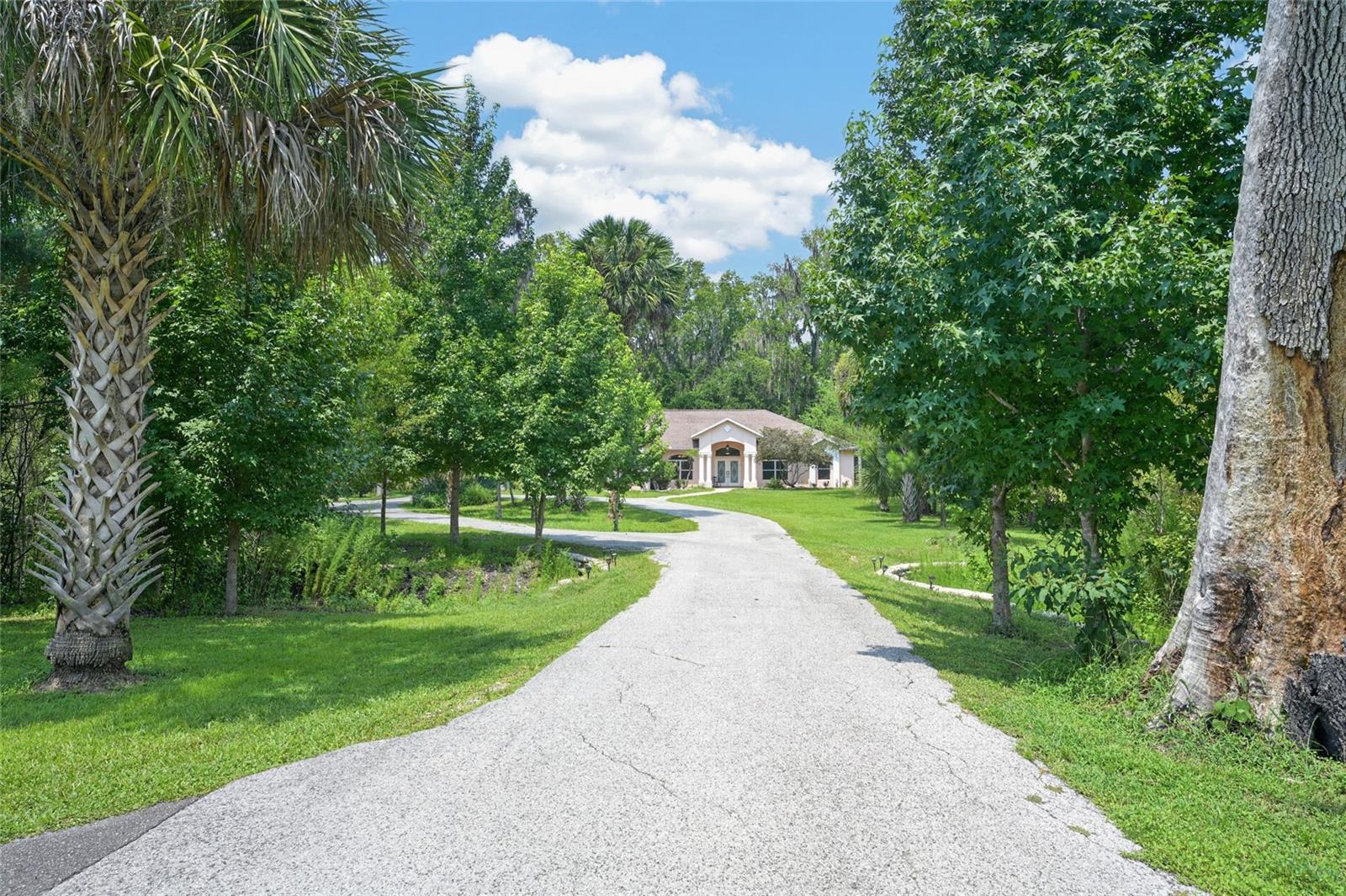 19040 88th Avenue, Reddick, FL 32686