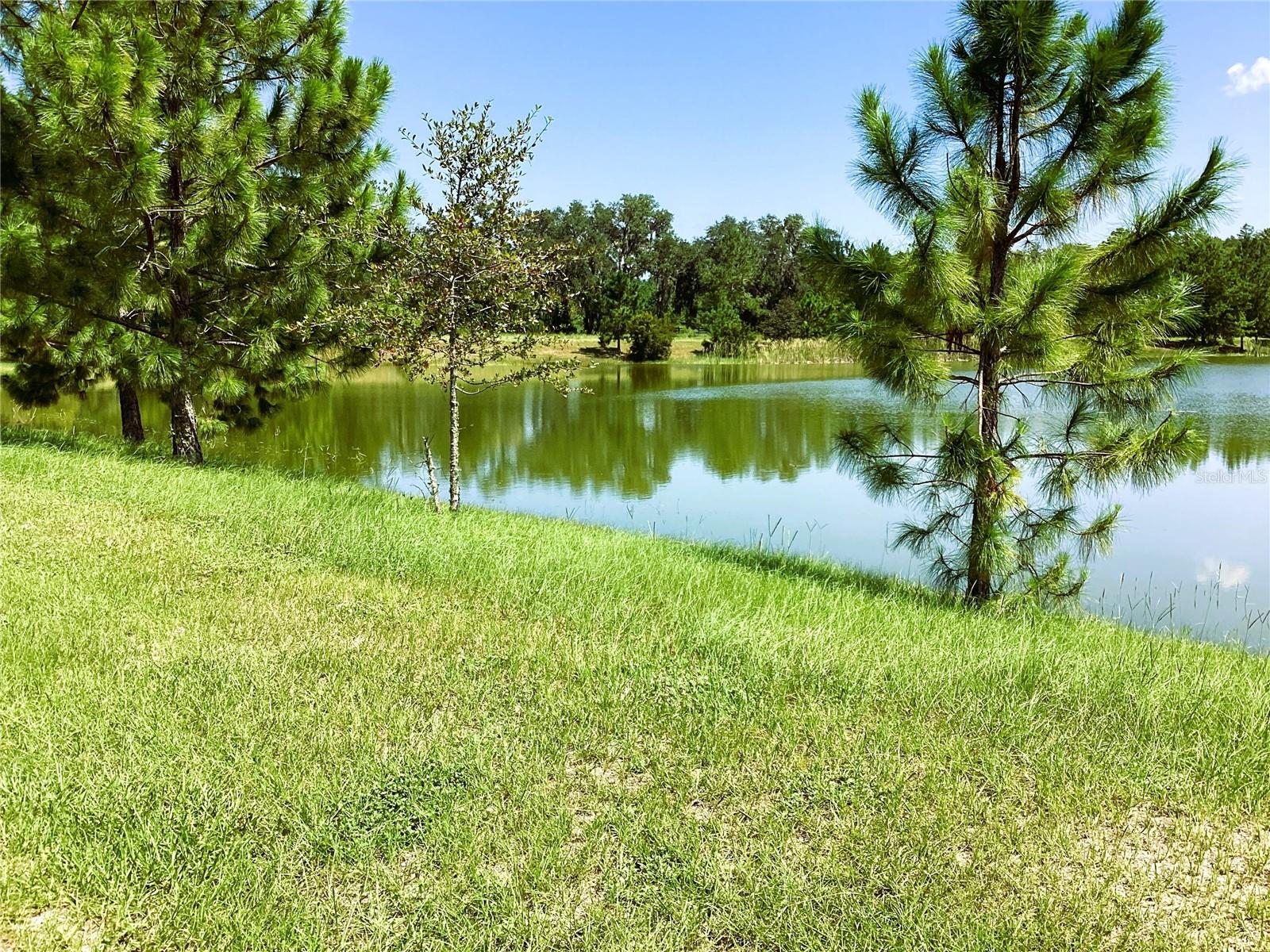 149 Bellflower, Lake City, FL 32024