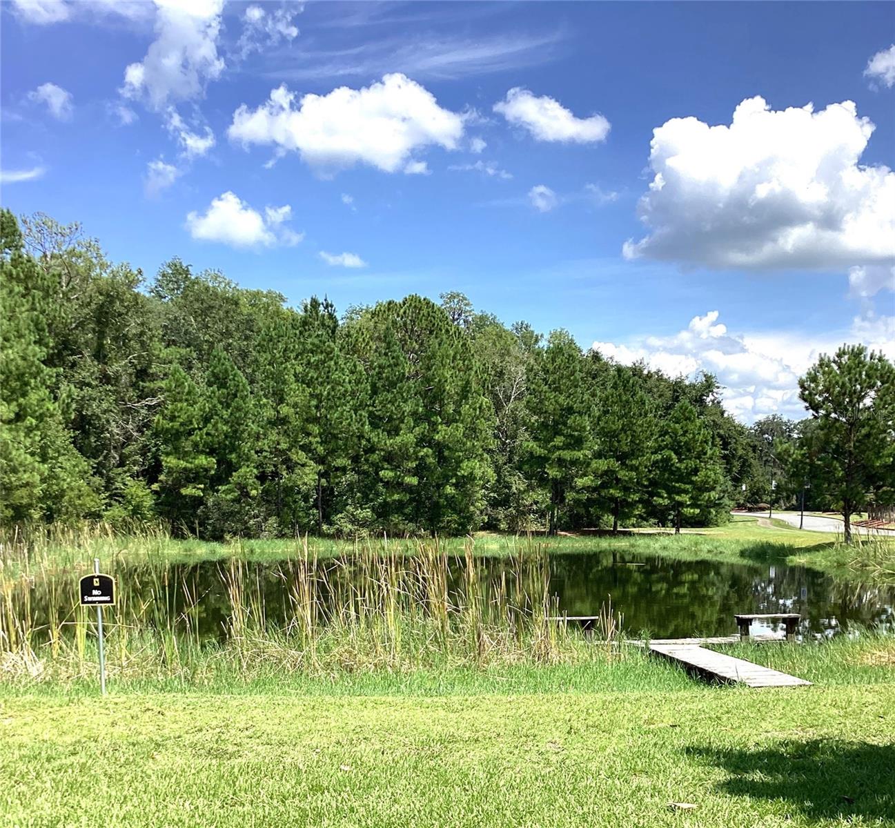 149 Bellflower, Lake City, FL 32024