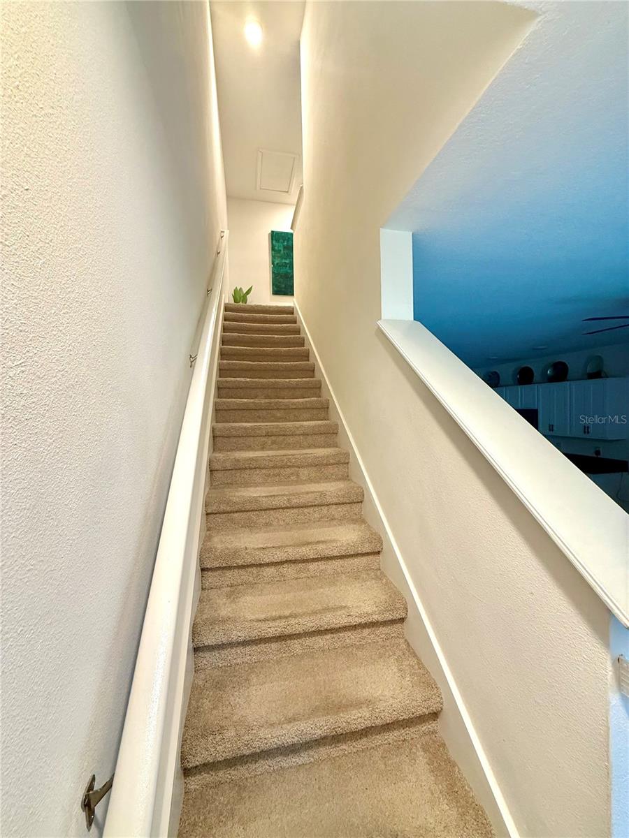 8771 Falling Blue, Riverview, FL 33578