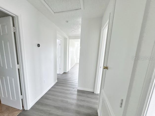 2024 Bearing, Kissimmee, FL 34744
