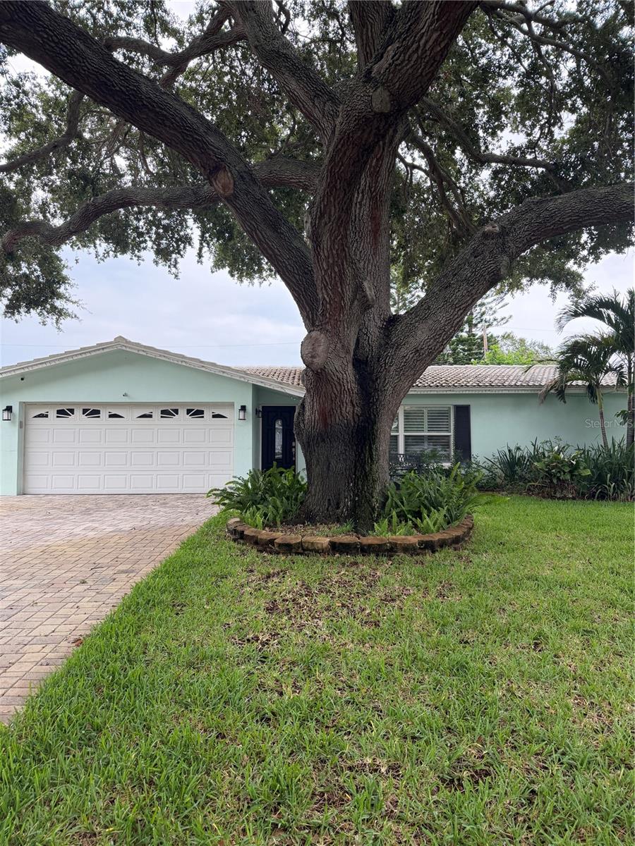704 23rd, Largo, FL 33770