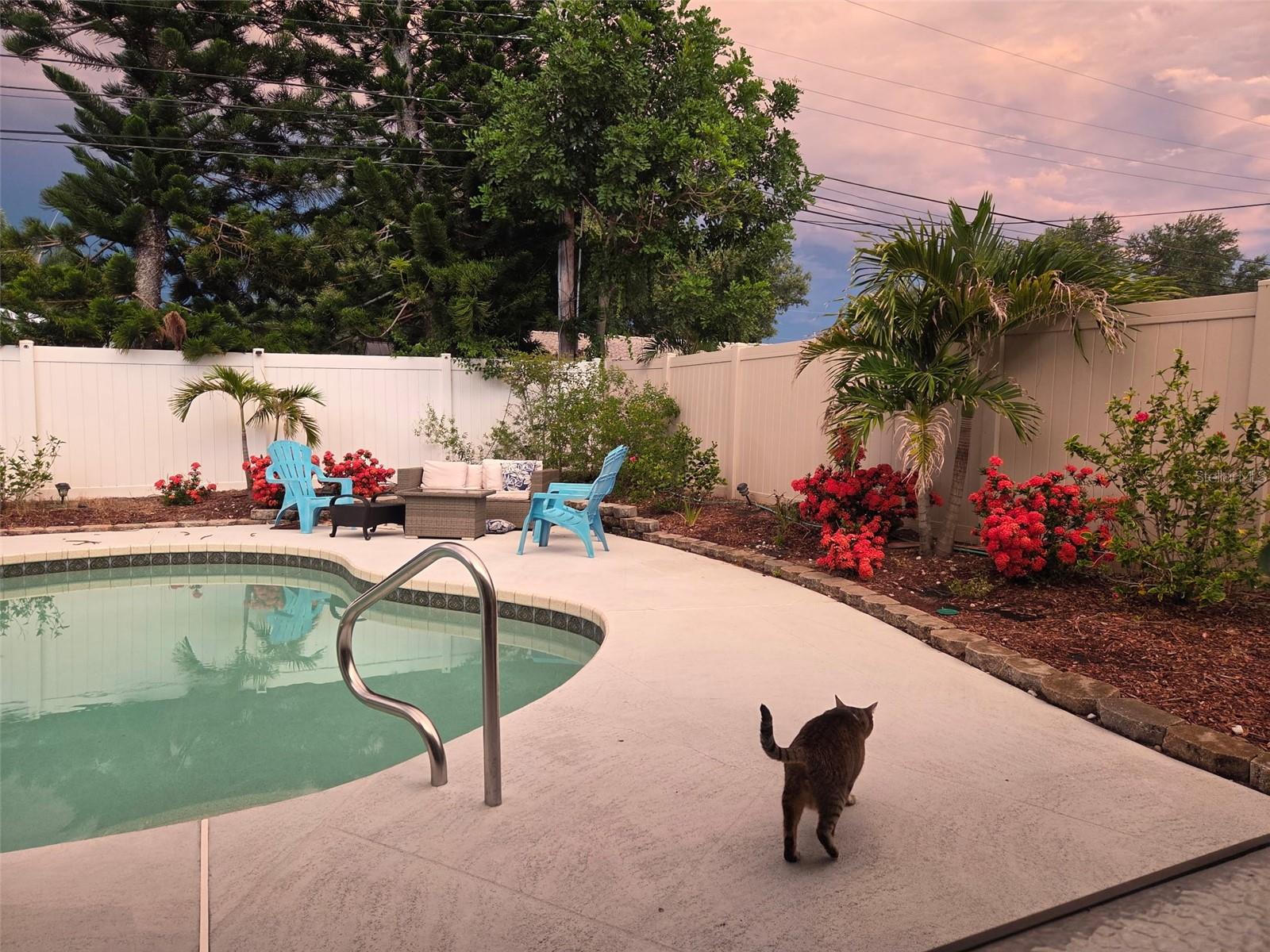 704 23rd, Largo, FL 33770