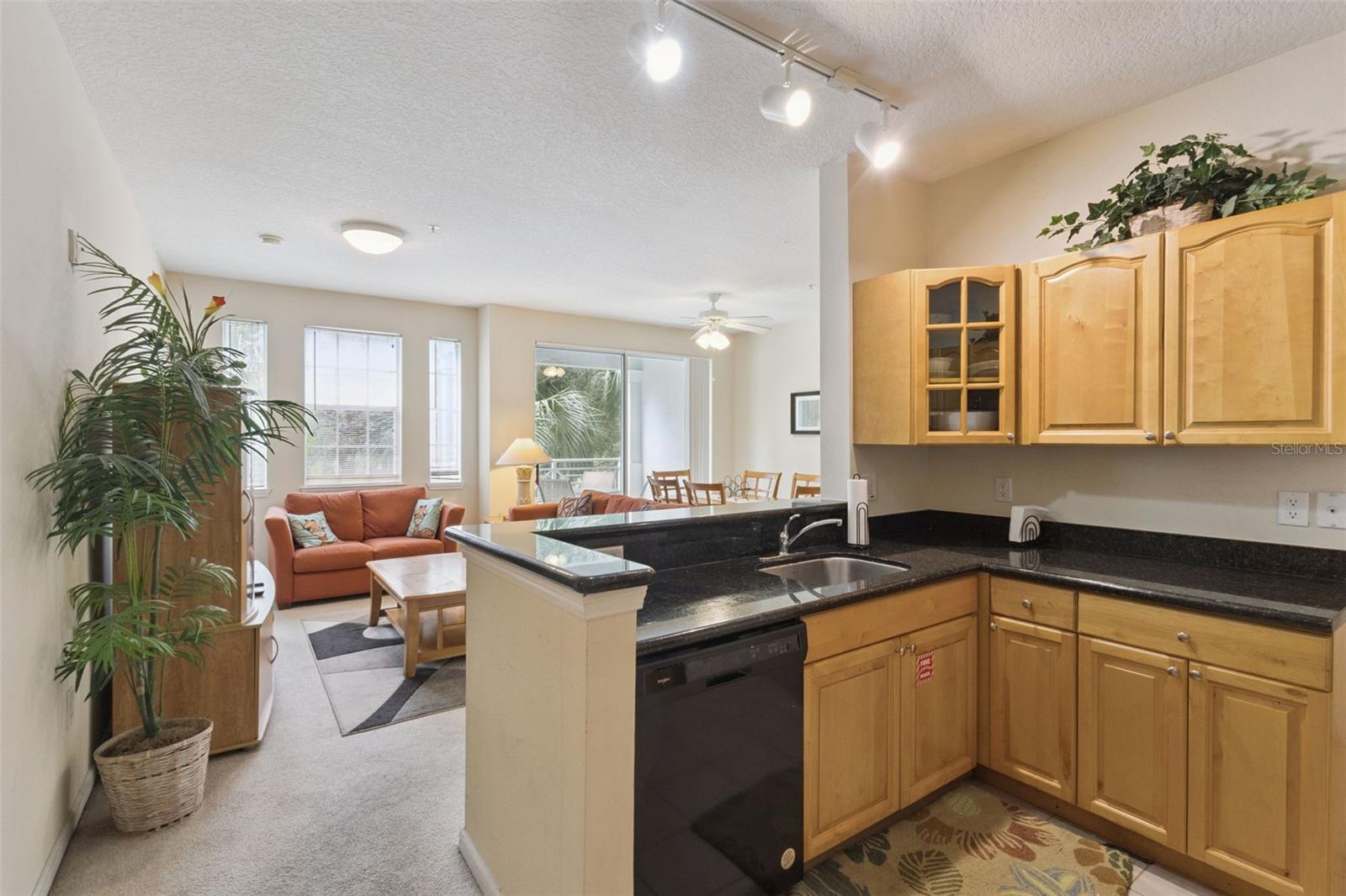 5252 Cane Island Unit 204, Kissimmee, FL 34746