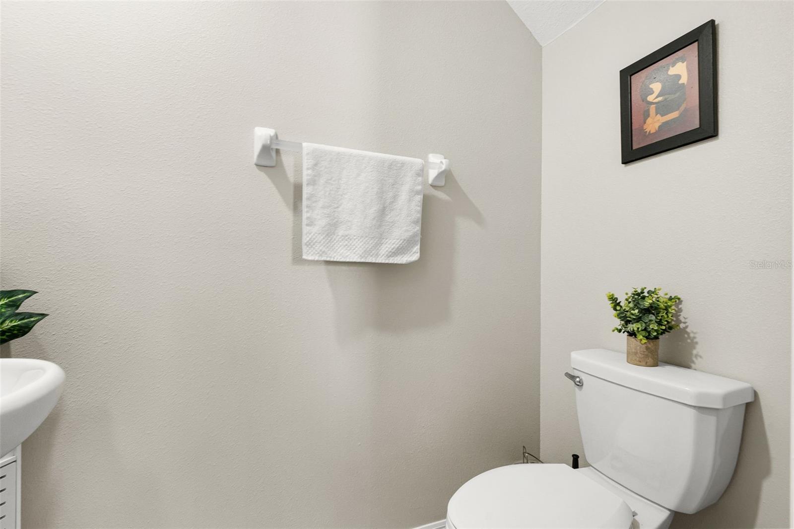 7201 Sweet Alyssum Ct, Tampa, FL 33619