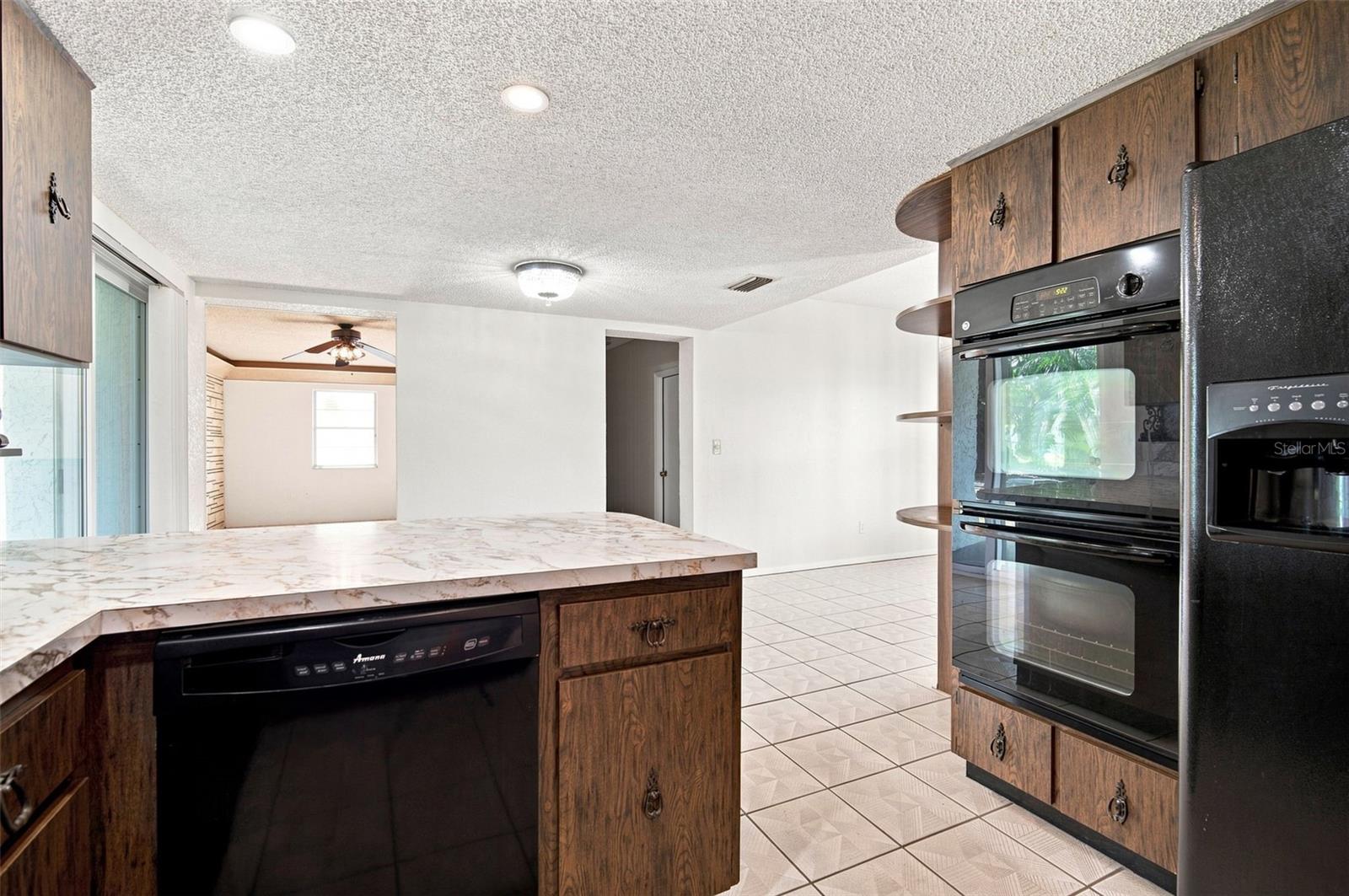 2705 Silver Lake, Tampa, FL 33614