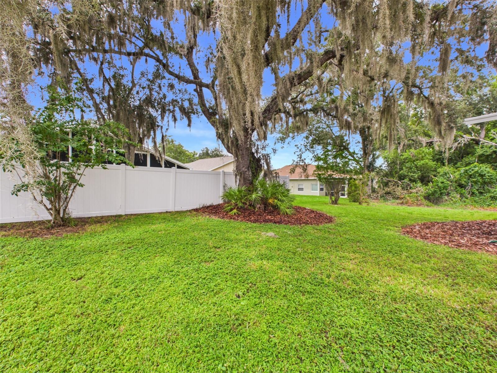 35601 Wickingham, Zephyrhills, FL 33541