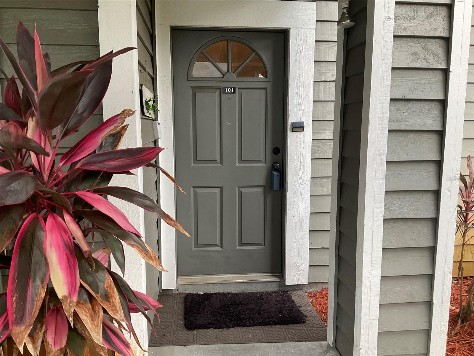 2197 Fox Chase Unit 101, Palm Harbor, FL 34683