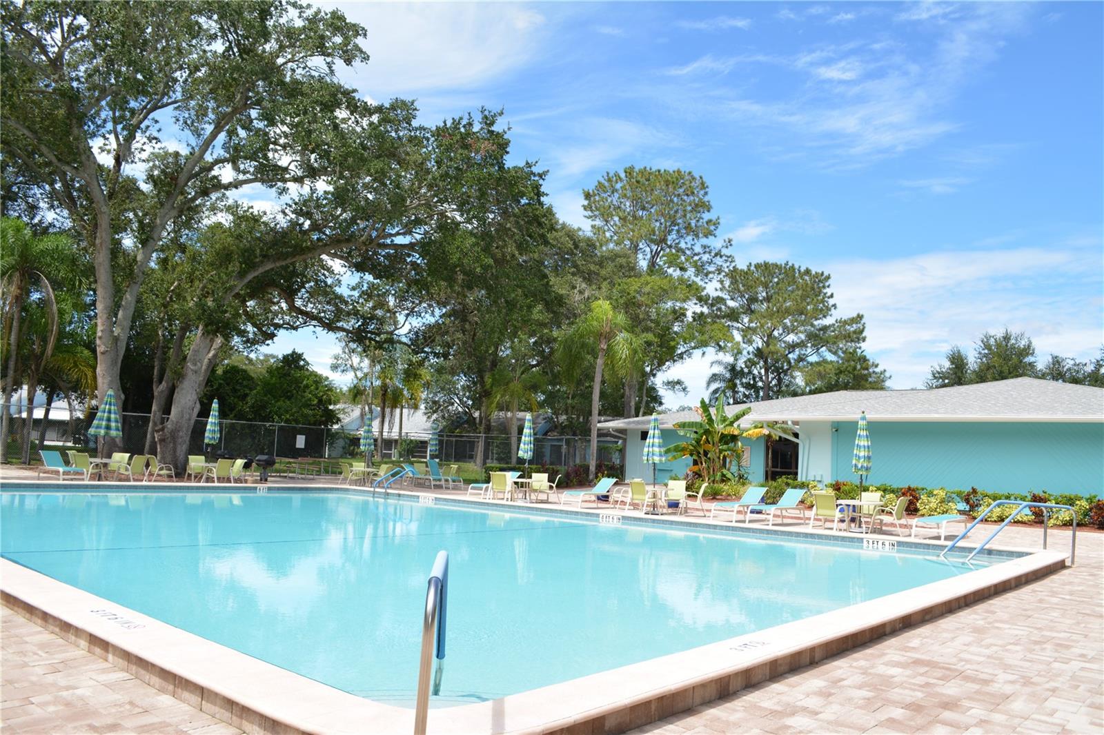 2197 Fox Chase Unit 101, Palm Harbor, FL 34683