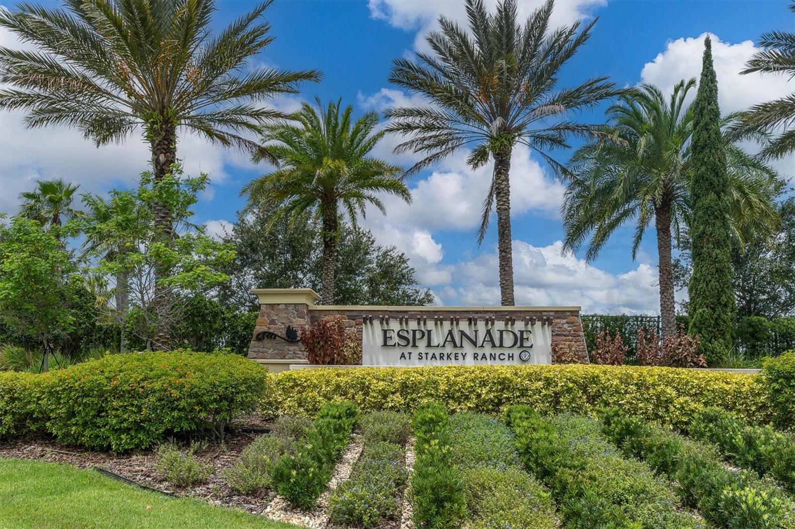 3142 Francoa, Odessa, FL 33556