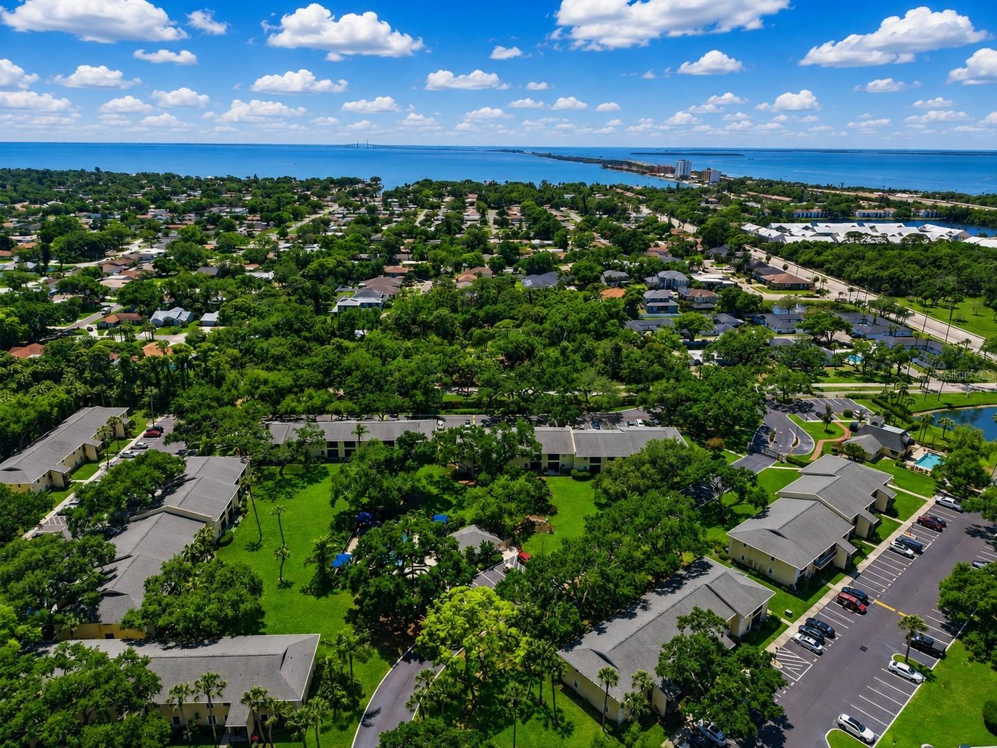 3001 58th Unit 1014, St Petersburg, FL 33712