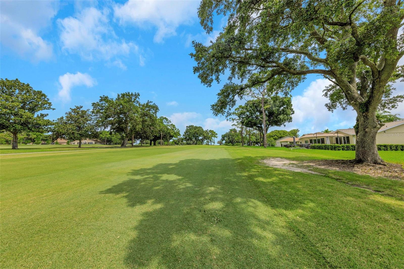 1308 Gillespie, Palm Harbor, FL 34684