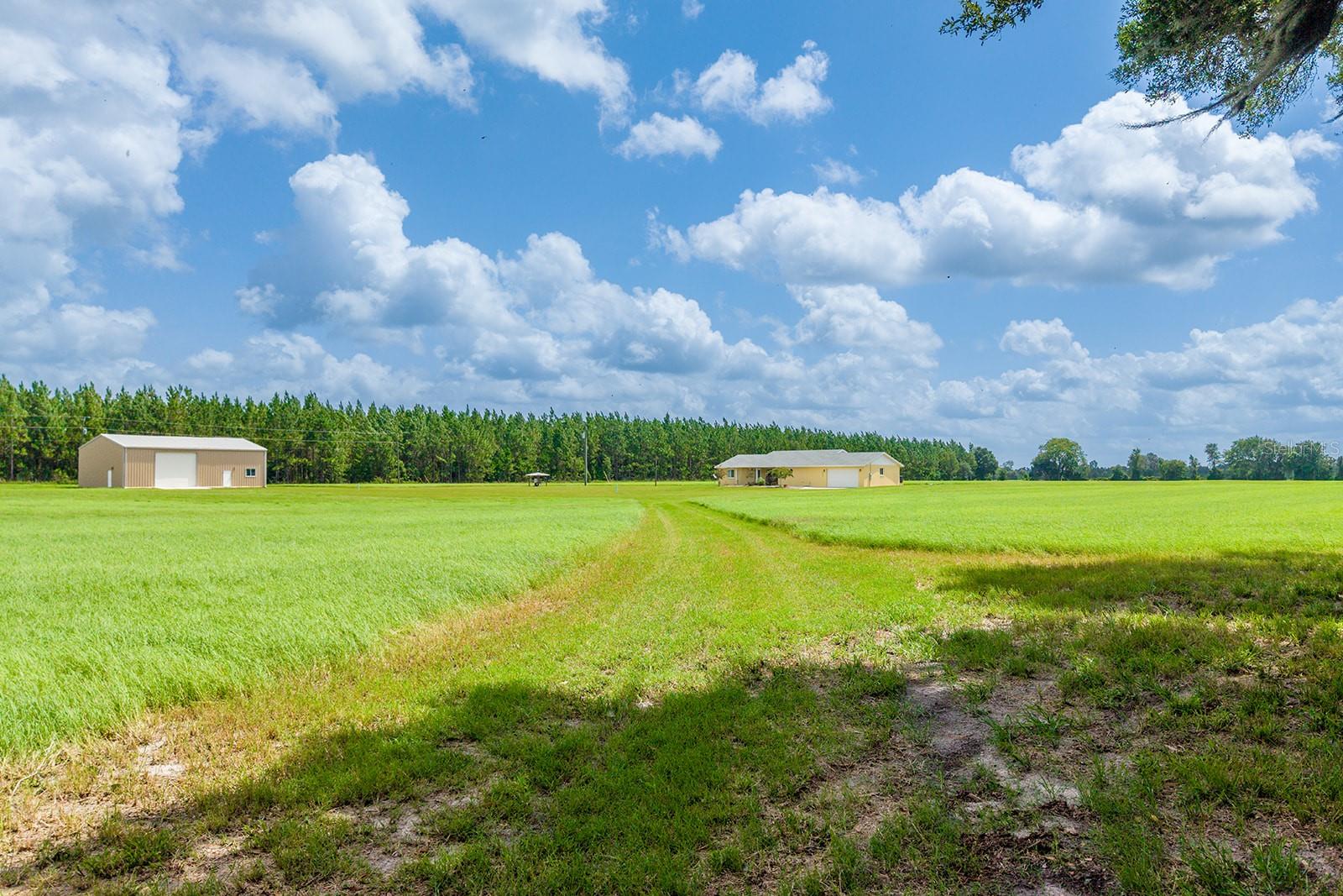 4261 57th, Chiefland, FL 32626