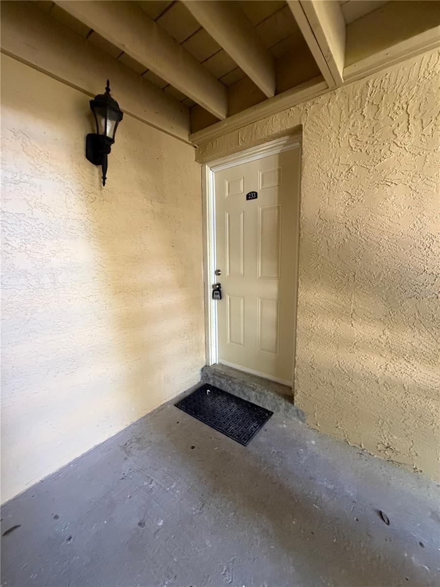 233 Thorn Tree, Brandon, FL 33510