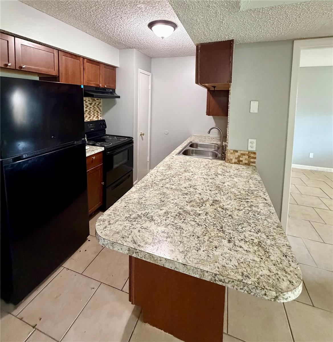 233 Thorn Tree, Brandon, FL 33510