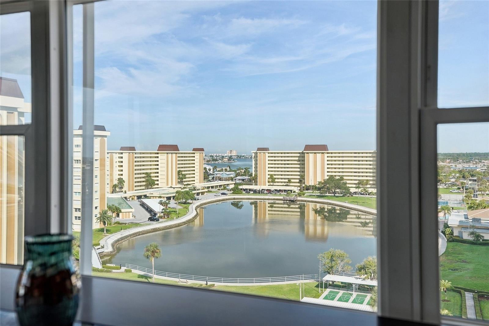 4550 Cove Unit 1009, St Petersburg, FL 33708