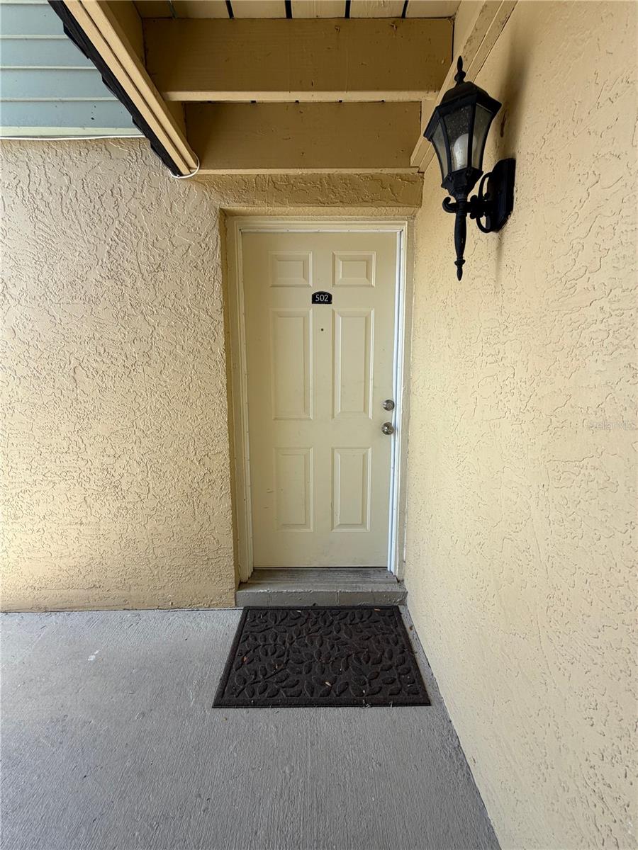 502 Golden Raintree, Brandon, FL 33510