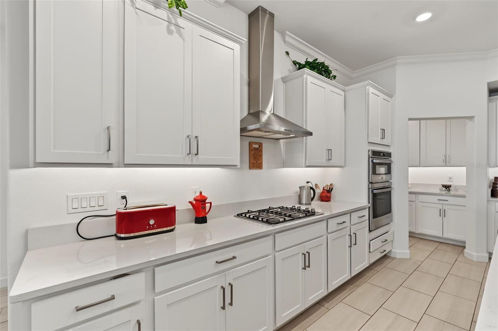 17109 Star Banks, Wimauma, FL 33598