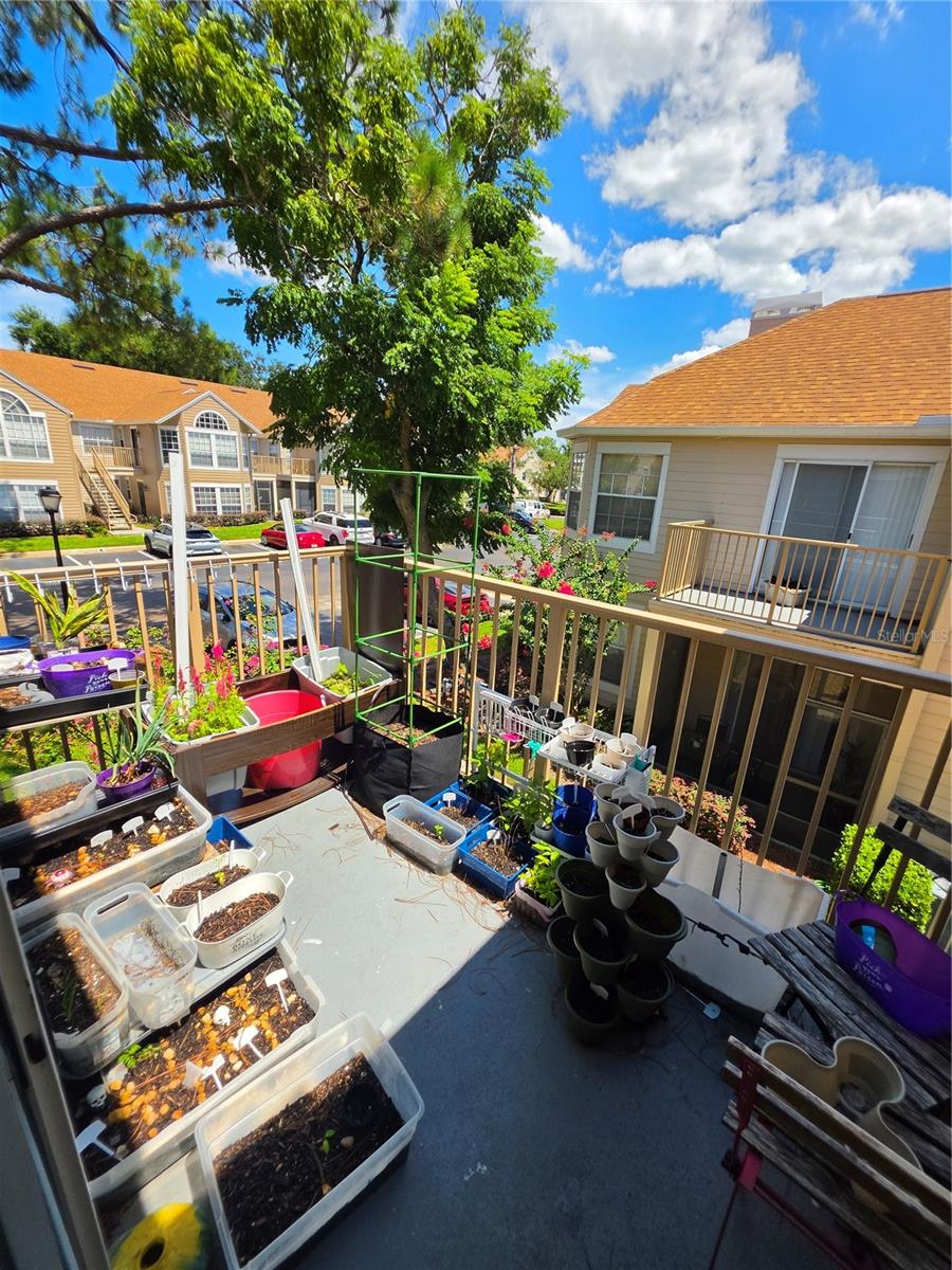 705 Youngstown Unit 356, Altamonte Springs, FL 32714