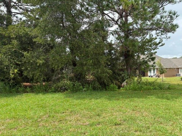 6878 179th Avenue, Dunnellon, FL 34432