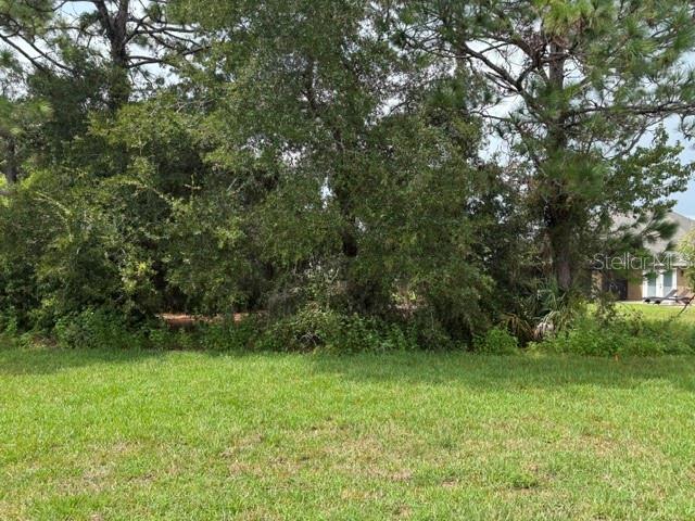 6878 179th Avenue, Dunnellon, FL 34432