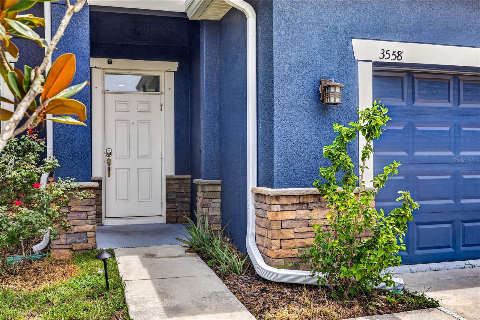 3558 Bracknell, Land O Lakes, FL 34638