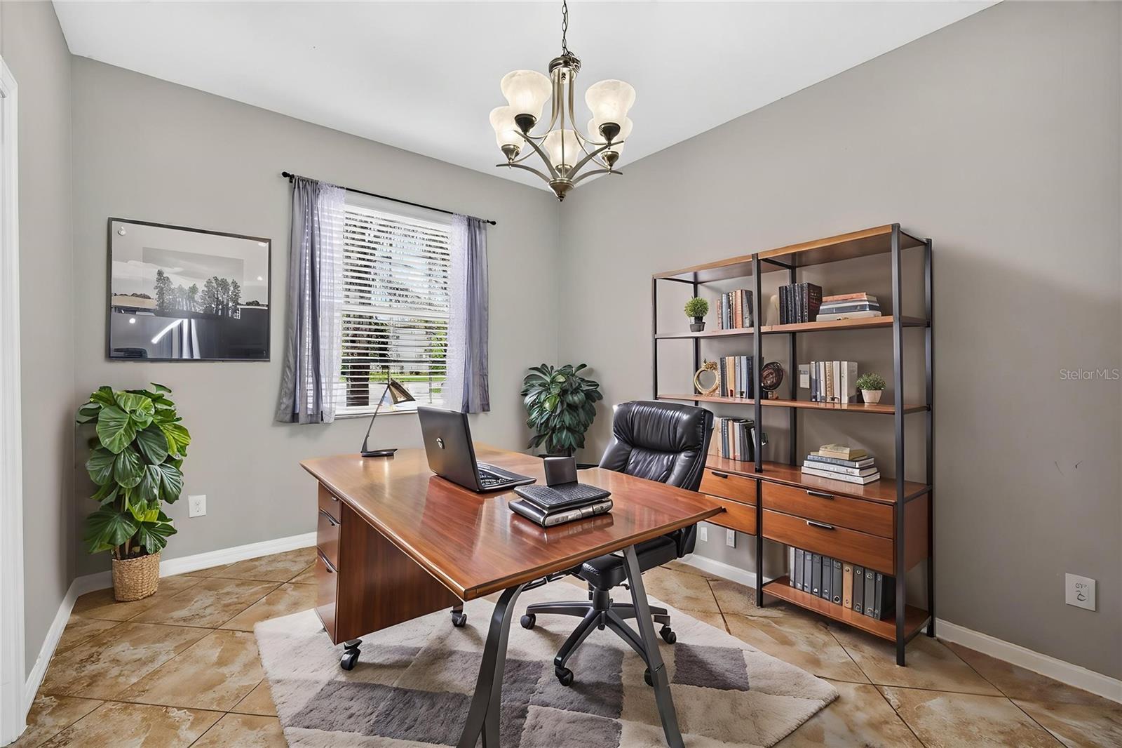 3558 Bracknell, Land O Lakes, FL 34638