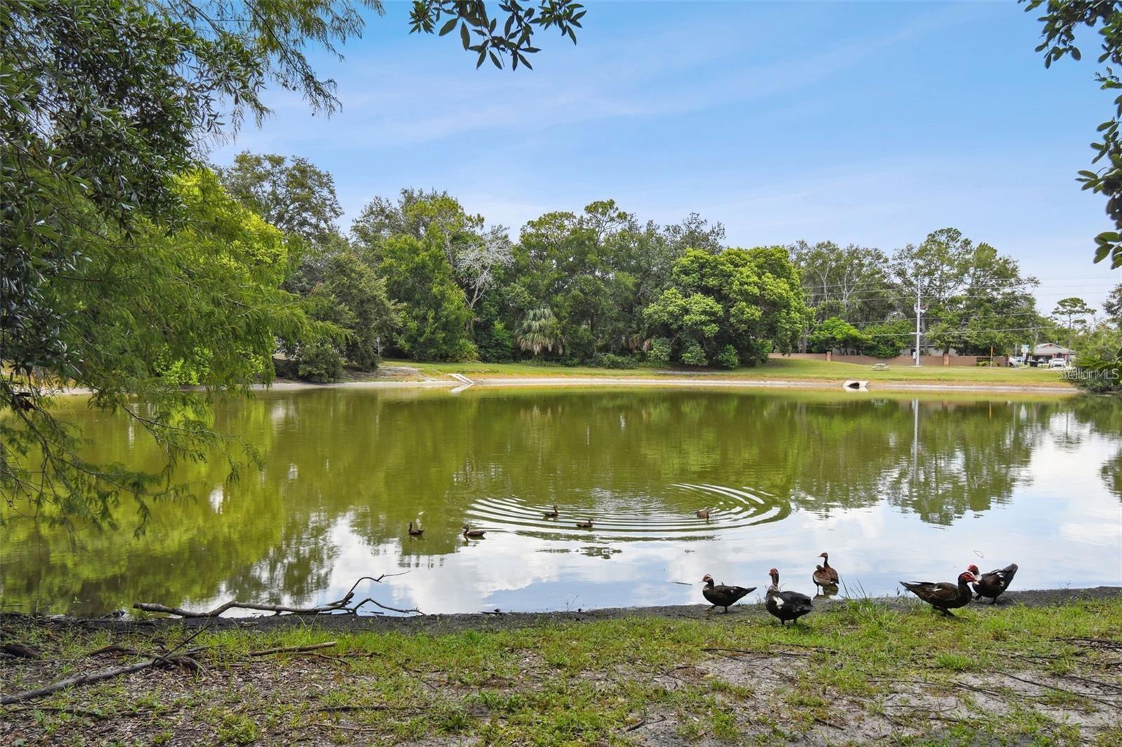 4008 Maryland, Casselberry, FL 32707