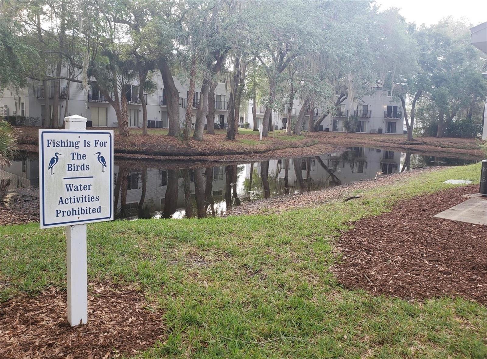 7100 Waterside, Tampa, FL 33617