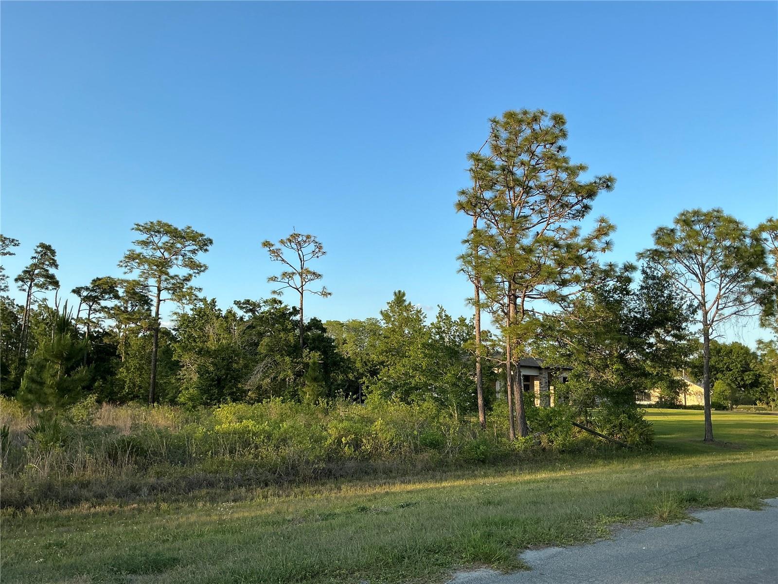 LOT 44 Reynolds, Orlando, FL 32833