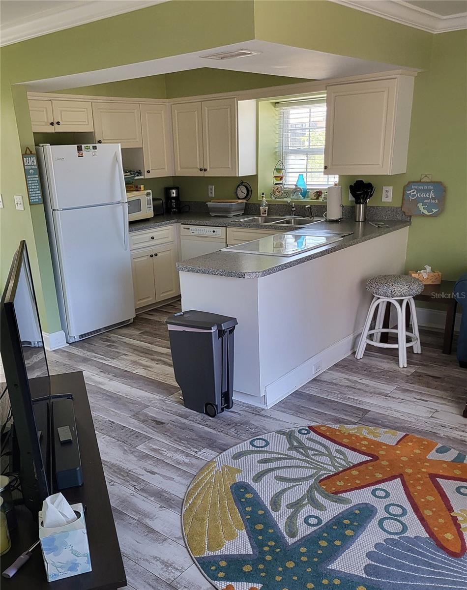 17960 Gulf Unit 101, Redington Shores, FL 33708