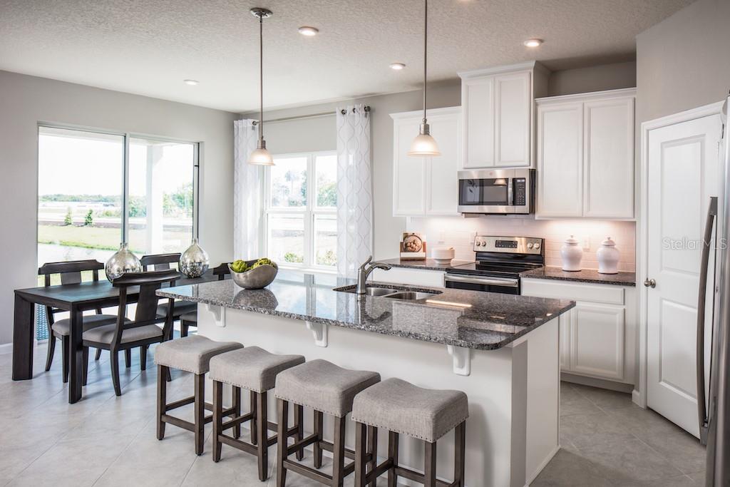 1079 Ocean Lodge, Lady Lake, FL 32159