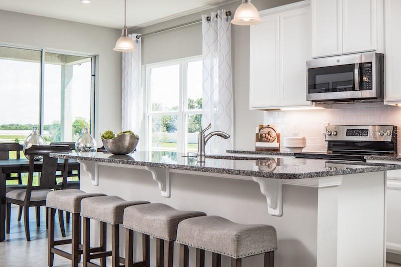 1079 Ocean Lodge, Lady Lake, FL 32159