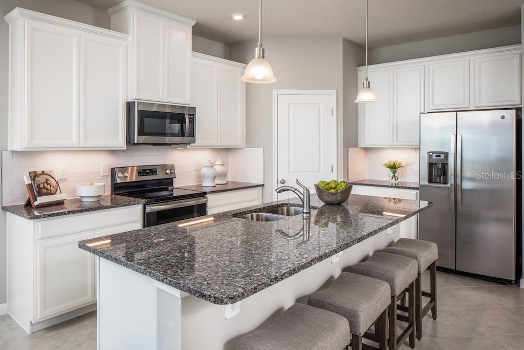 1079 Ocean Lodge, Lady Lake, FL 32159