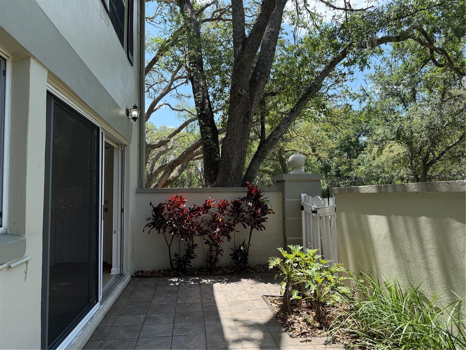 6206 Dewdrop, Temple Terrace, FL 33617