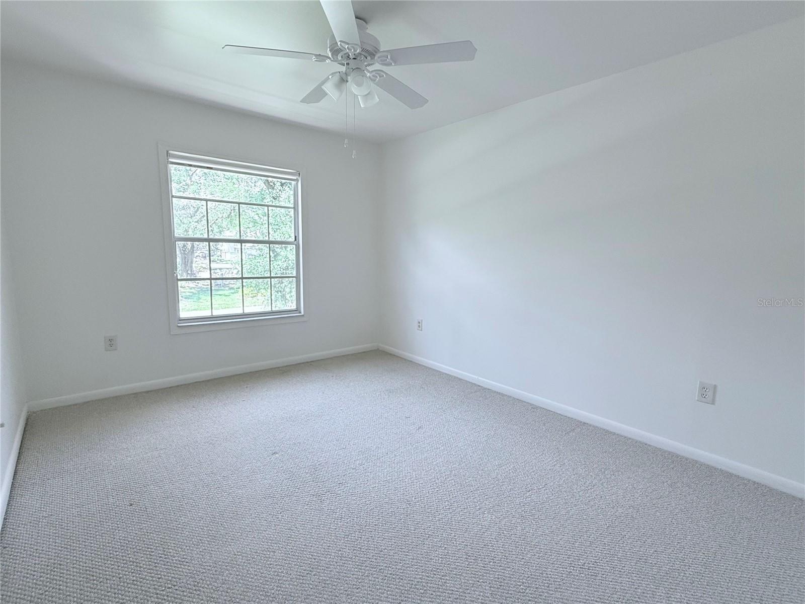 6206 Dewdrop, Temple Terrace, FL 33617