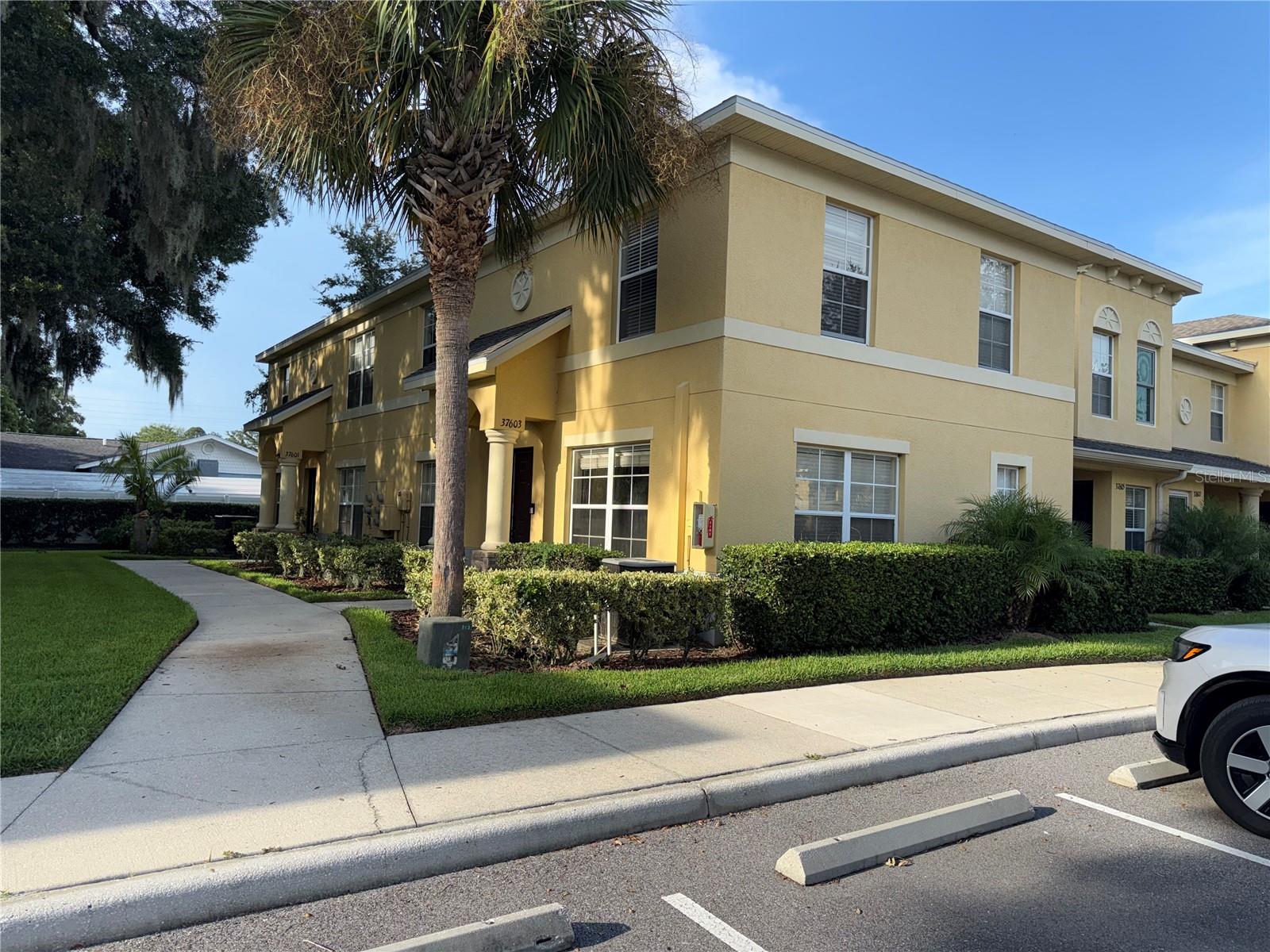 37603 Daliha, Zephyrhills, FL 33542