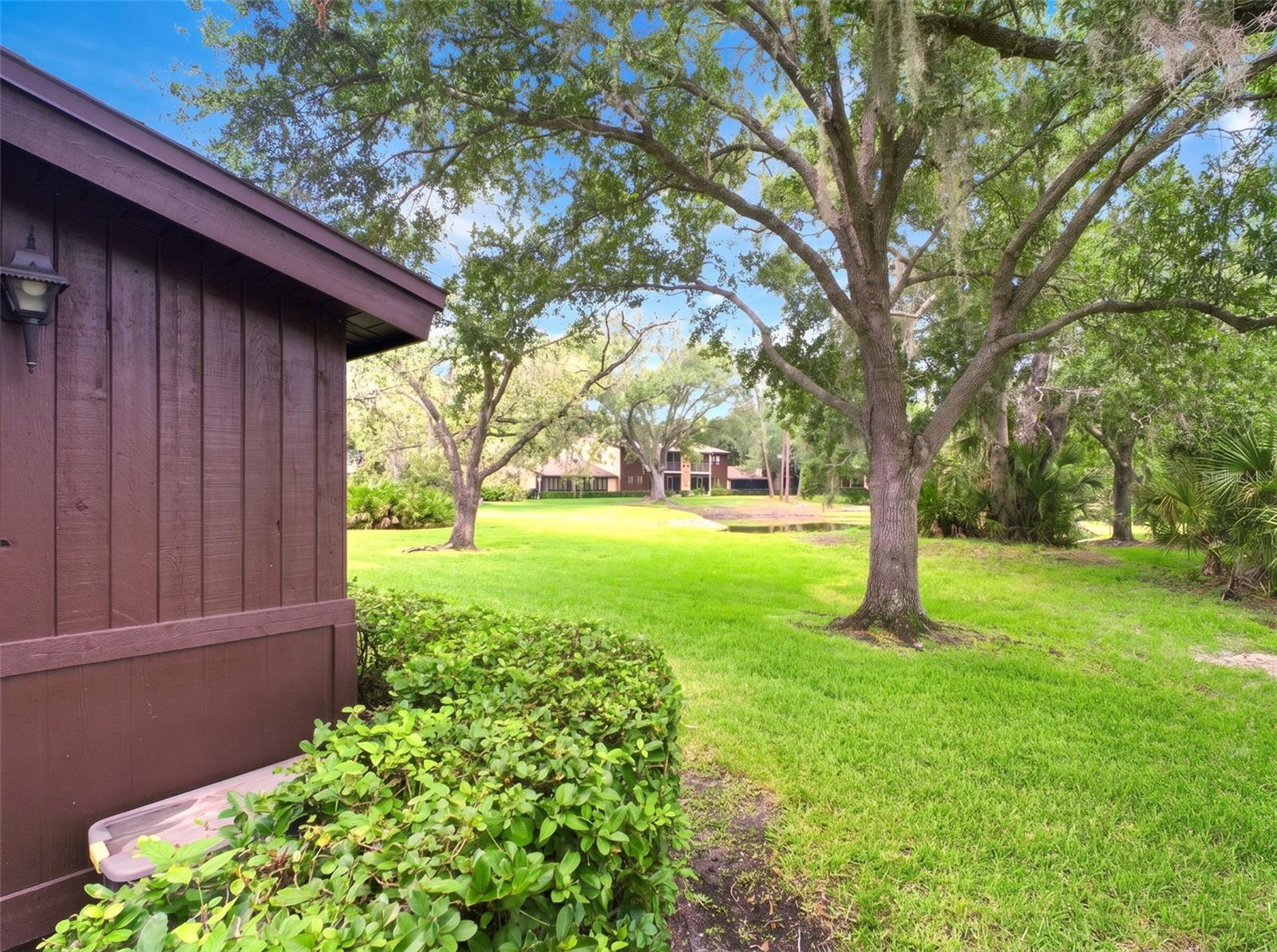 1400 Tarpon Woods Unit A1, Palm Harbor, FL 34685