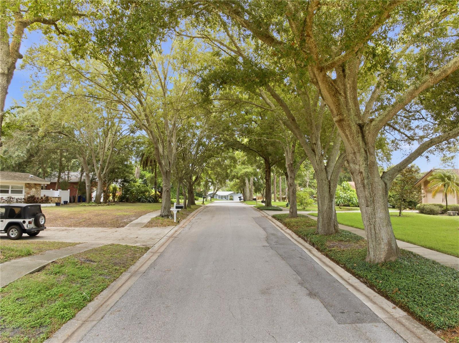 2860 Briarwood, Palm Harbor, FL 34683