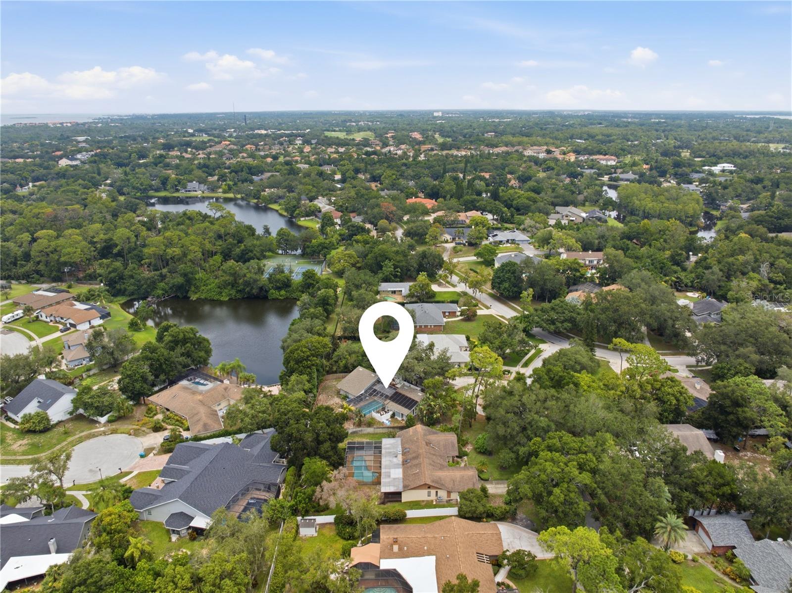 2860 Briarwood, Palm Harbor, FL 34683