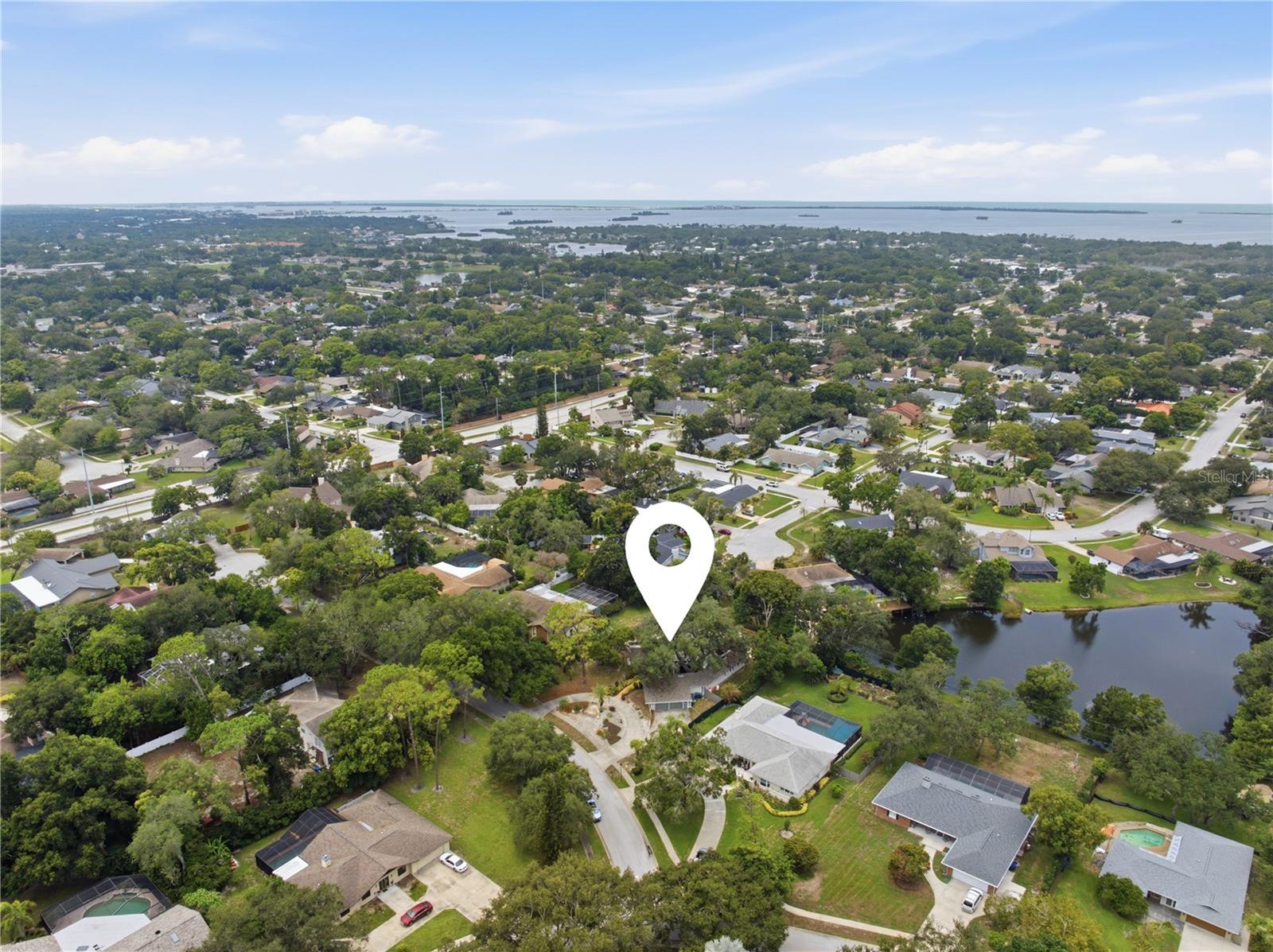2860 Briarwood, Palm Harbor, FL 34683