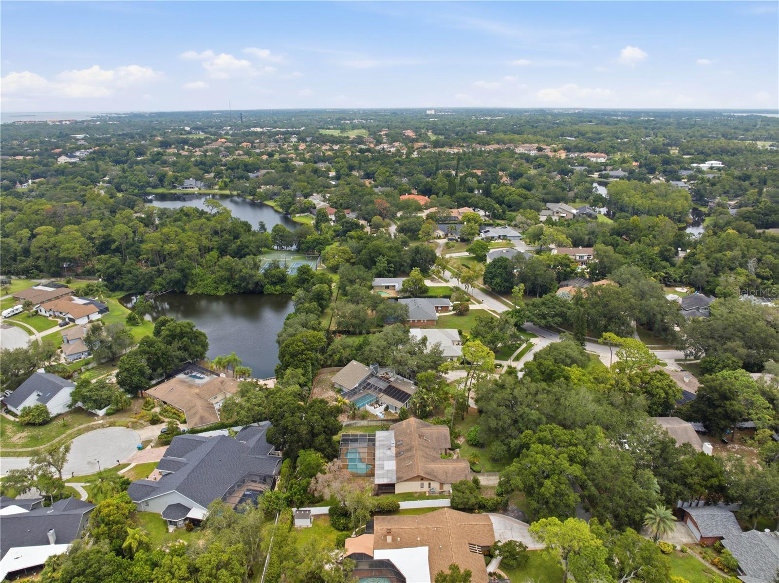 2860 Briarwood, Palm Harbor, FL 34683