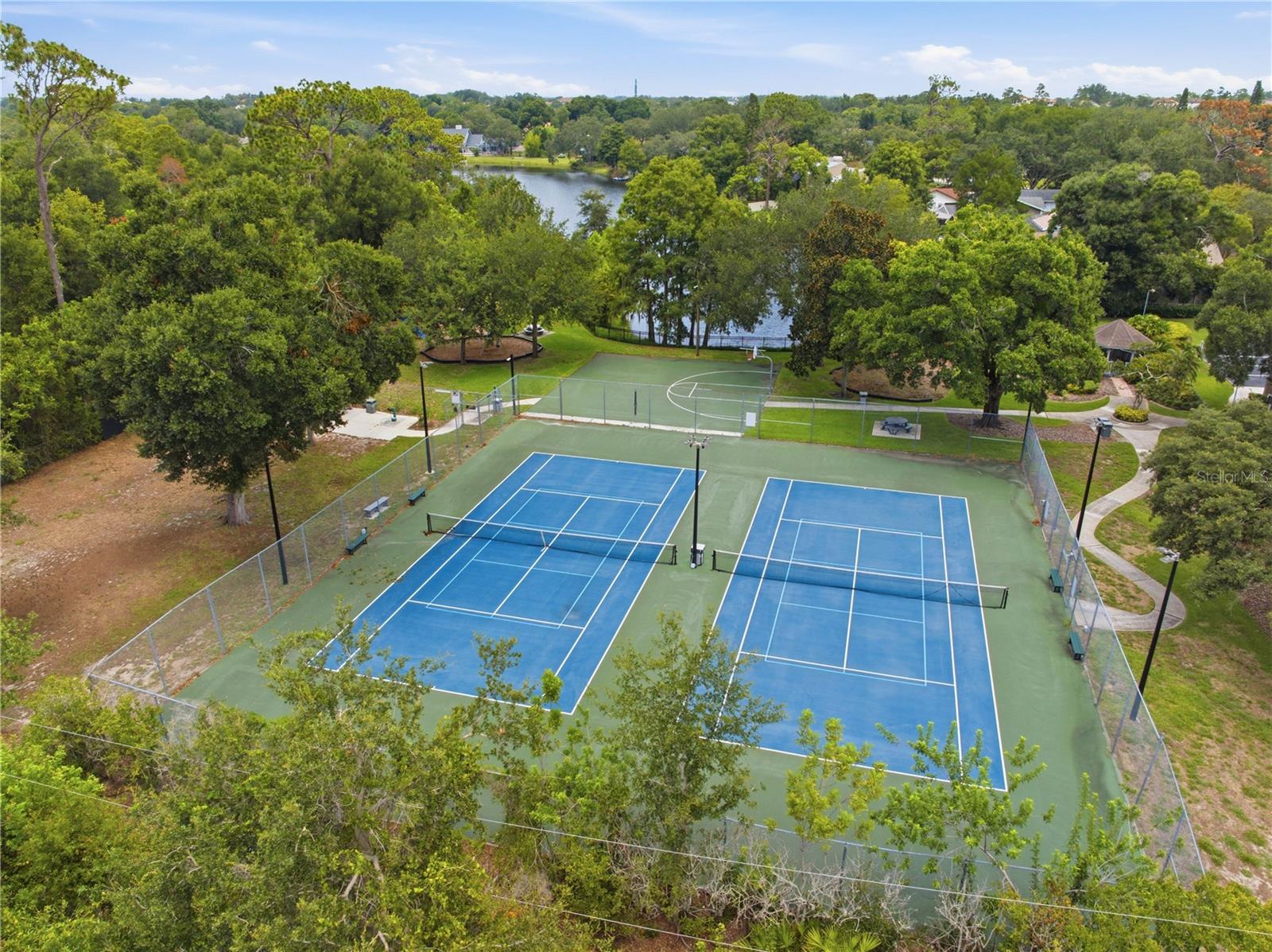 2860 Briarwood, Palm Harbor, FL 34683