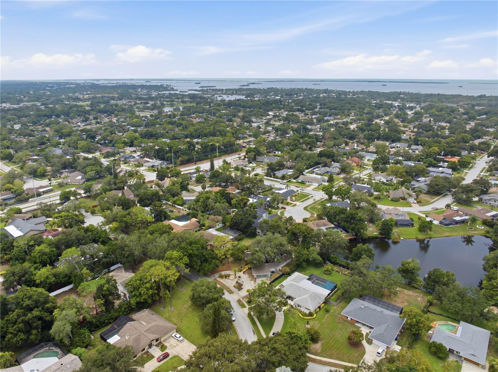 2860 Briarwood, Palm Harbor, FL 34683