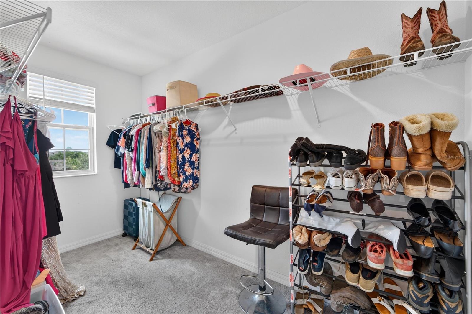 5119 White Chicory, Apollo Beach, FL 33572