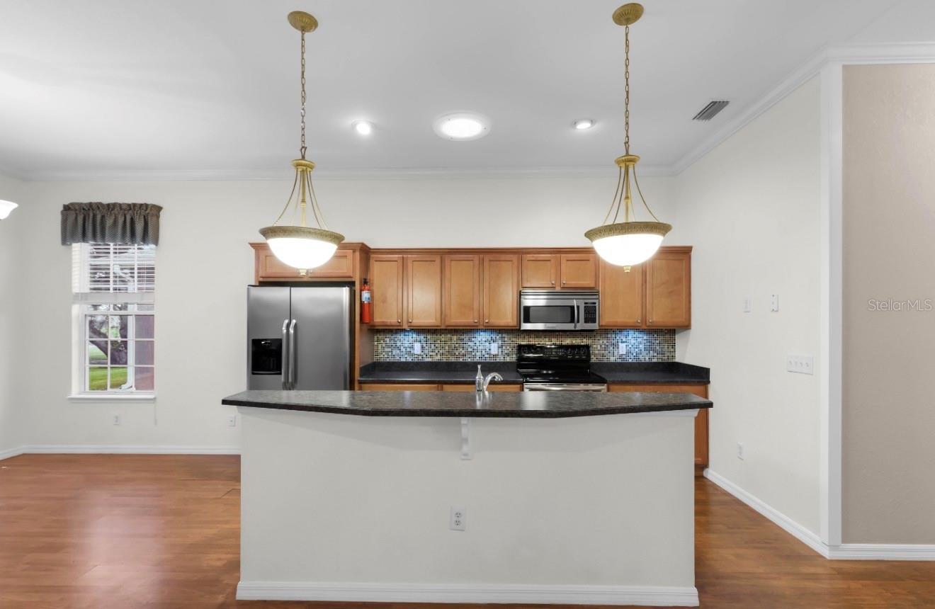12139 175th, Summerfield, FL 34491