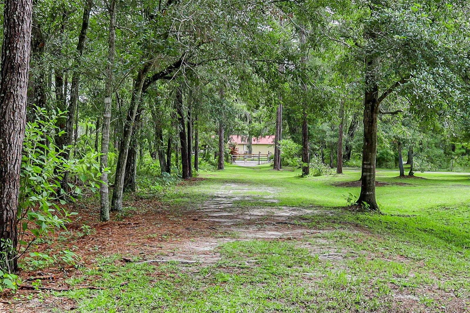 3063 Crum, Brooksville, FL 34604