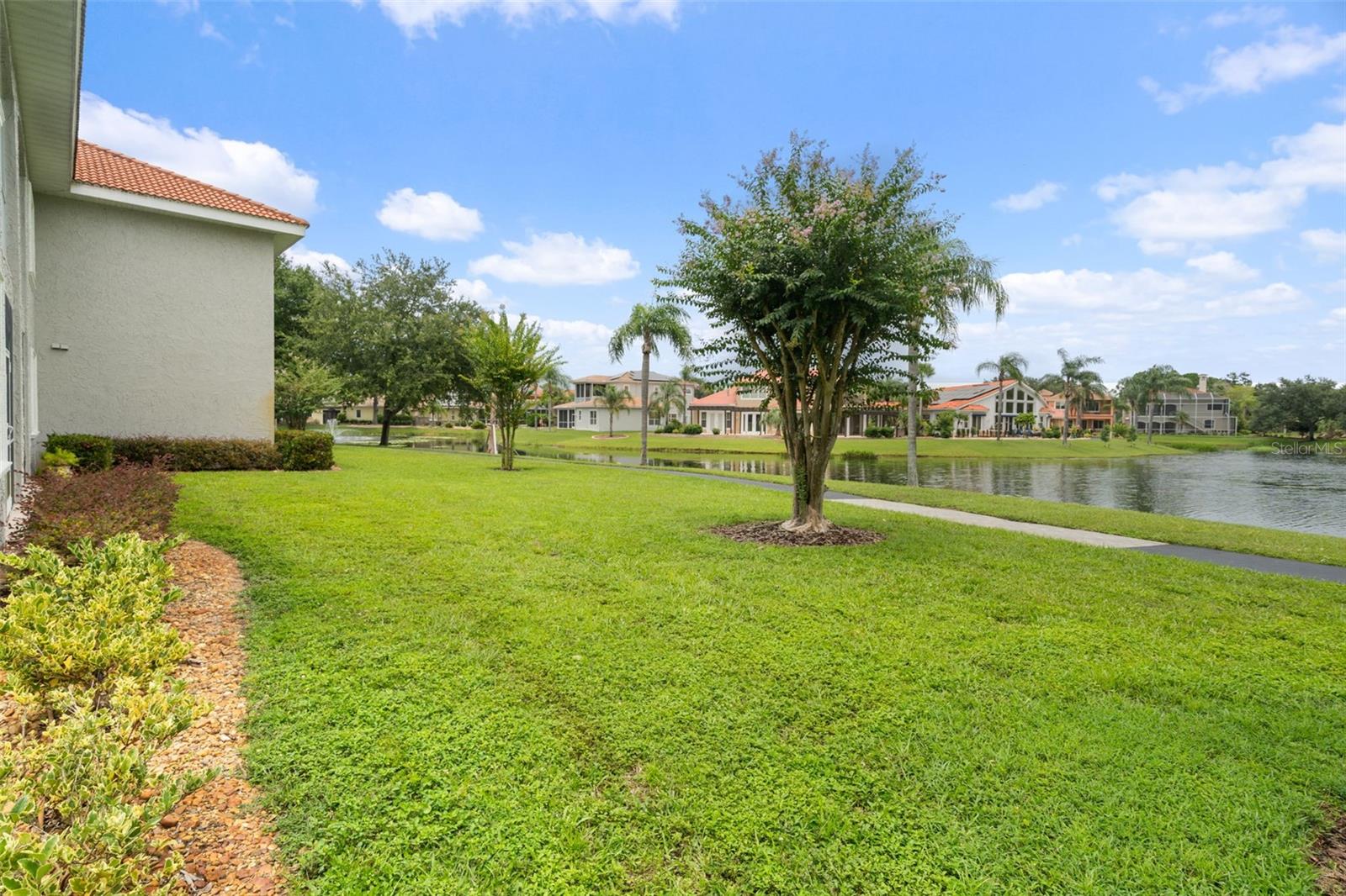 6808 Dali Unit 101, Land O Lakes, FL 34637