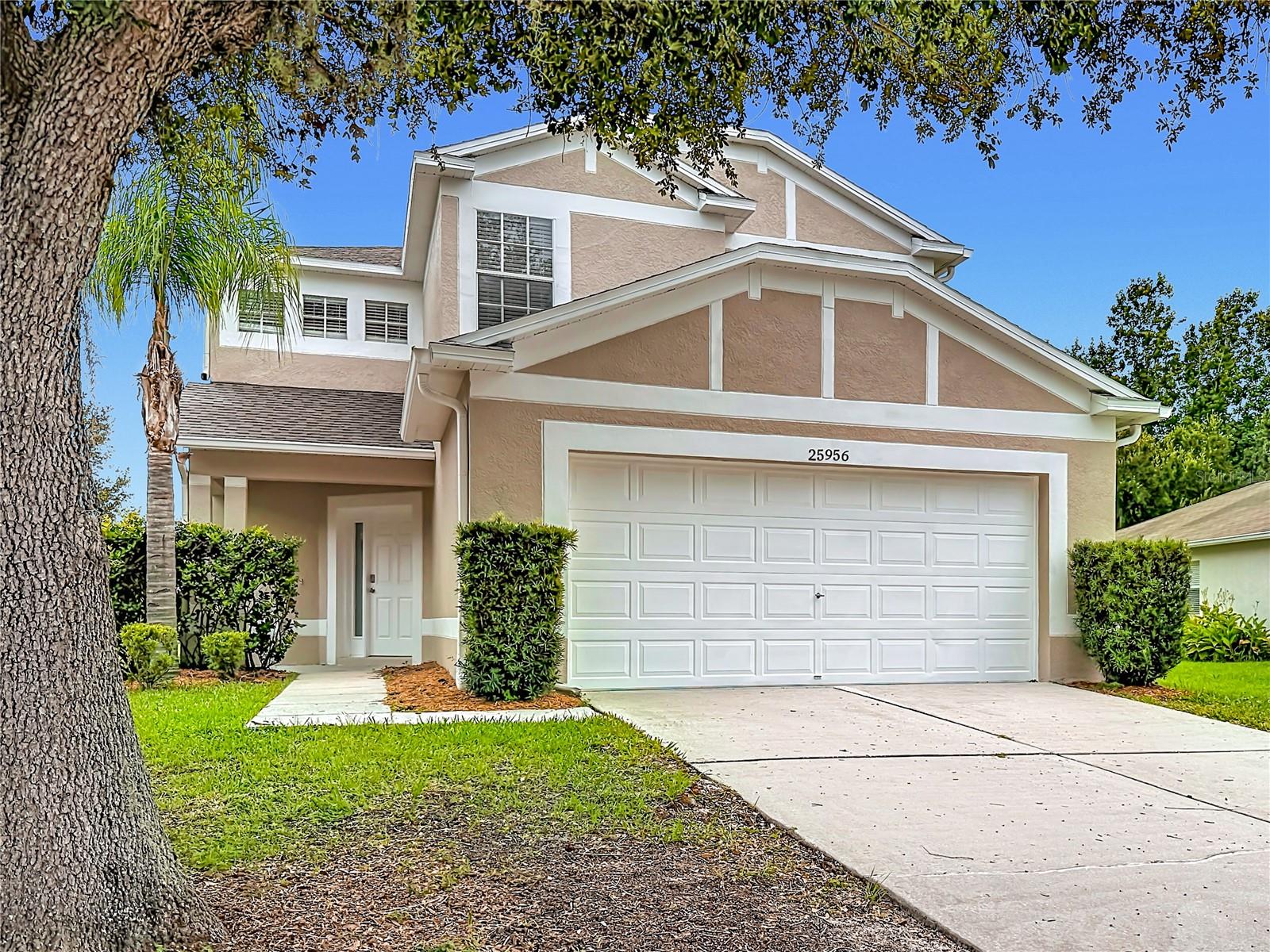 25956 Terrawood, Land O Lakes, FL 34639