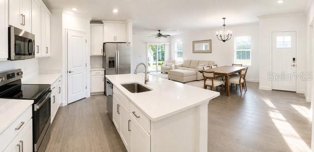 16890 Forge Surf, Land O Lakes, FL 34638